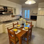 Olivo65 *