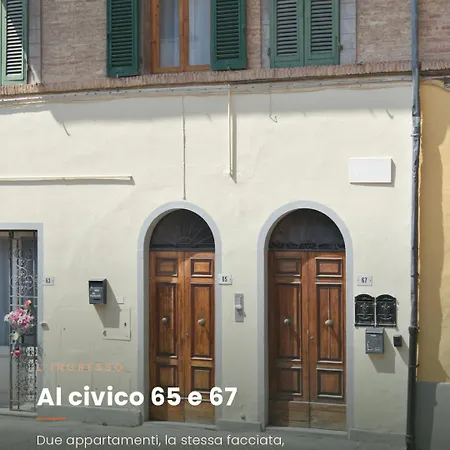 Olivo65 *