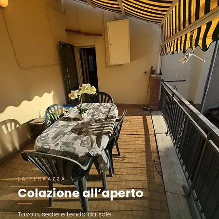 Olivo65 *